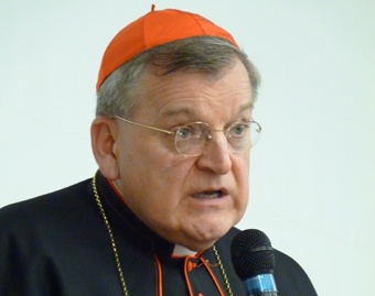 Cardinal_Raymond_Burke_CNA_US_Catholic_News_7_25_11