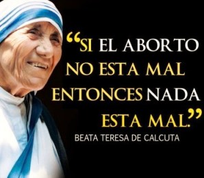 Madre Teresa-sí a la vida