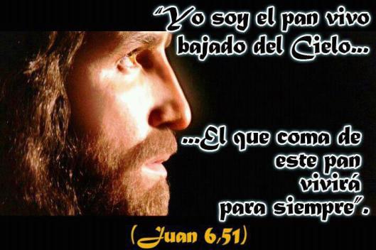 292421_256154824487062_93086813_n