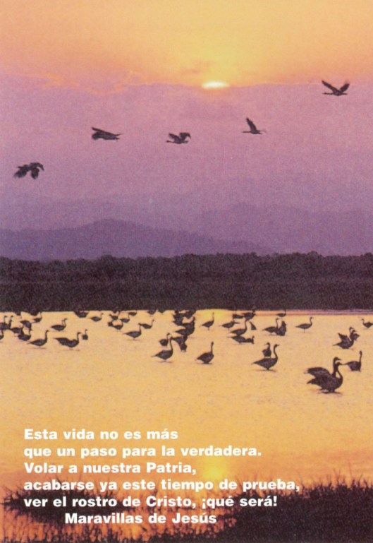 Postales Santa Maravillas de Jesús_Página_12