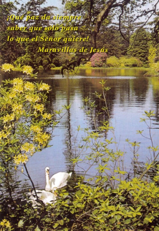 Postales Santa Maravillas de Jesús_Página_4