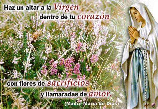 Estampa Virgen de Lourdes