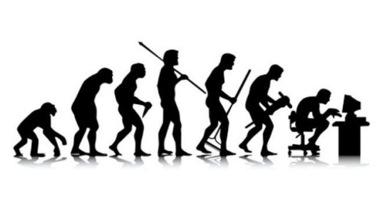 evolucion-wp