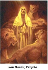 San Daniel - Profeta