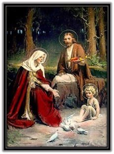 Sagrada Familia y dando de comer a palomas