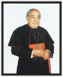 Cardenal D. José Mª Bueno Monreal