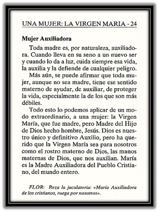 Sin título 6
