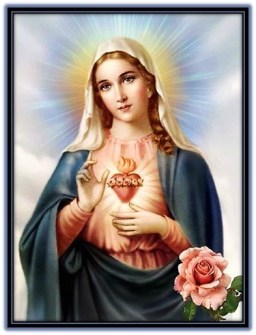 Inmaculado-Corazon-de-María-y rosa
